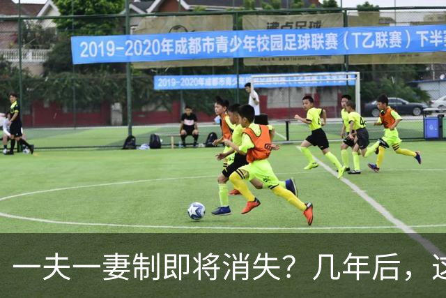 一夫一妻制即将消失？几年后，这3种婚恋模式或将席卷全国