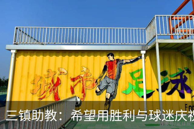 三镇助教：希望用胜利与球迷庆祝 不确定绍尔、卡迪斯能否出场