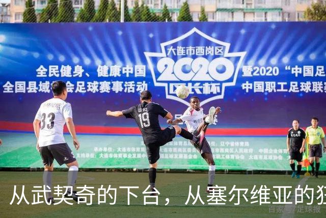 从武契奇的下台，从塞尔维亚的狂欢，来分析中国网友的眼界和素养