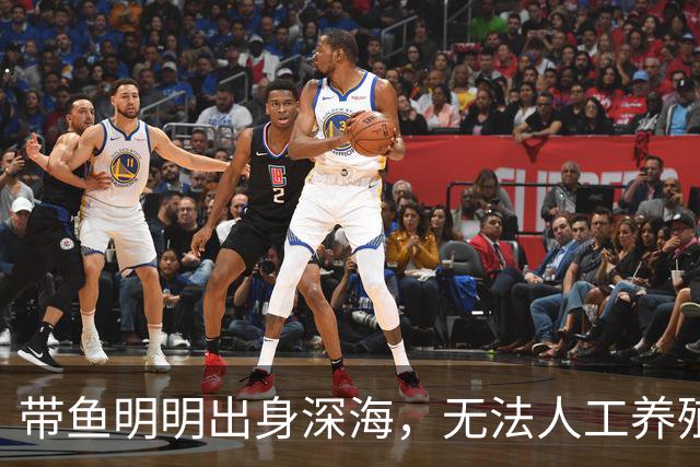带鱼明明出身深海，无法人工养殖，为什么成了便宜的平民海鲜？