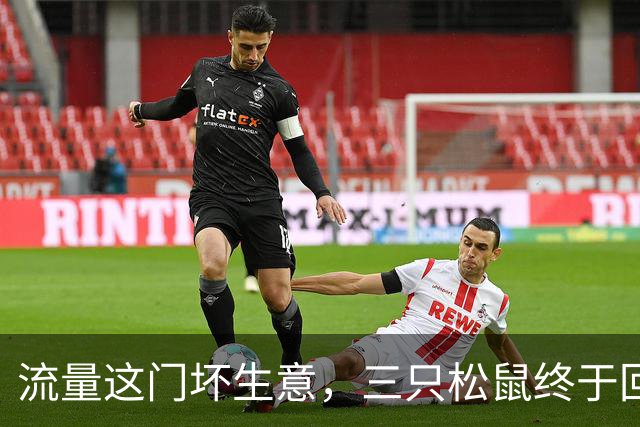 流量这门坏生意，三只松鼠终于回过味儿来了
