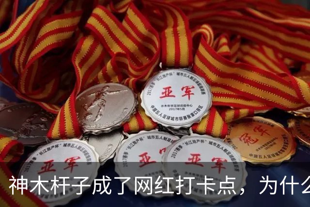 神木杆子成了网红打卡点，为什么要围起来？