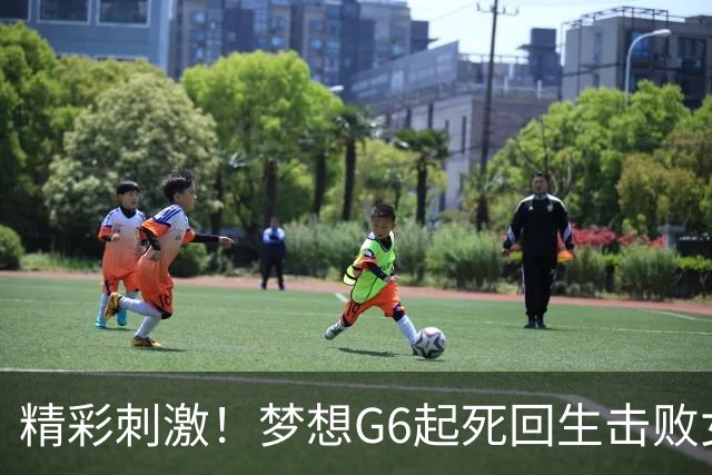 精彩刺激！梦想G6起死回生击败女武神 WNBA总决赛将进行抢七决胜