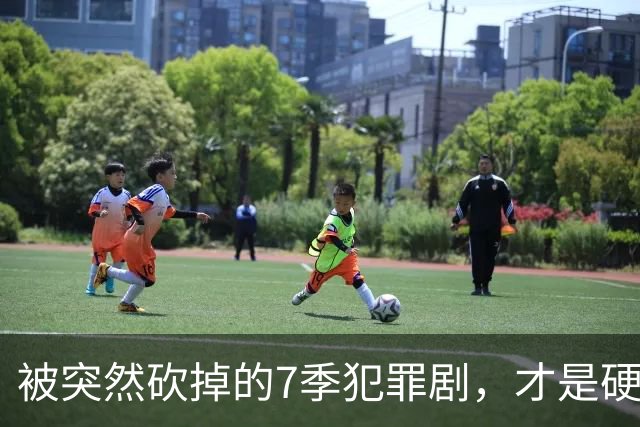 被突然砍掉的7季犯罪剧，才是硬汉剧该有的样子
