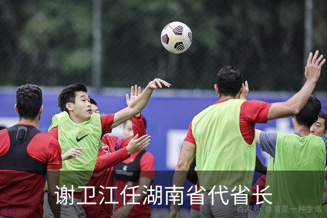 谢卫江任湖南省代省长