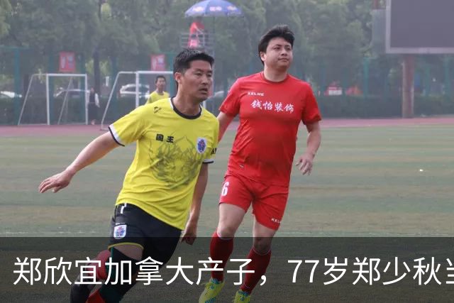 郑欣宜加拿大产子，77岁郑少秋当外公，沈殿霞终于安心了！