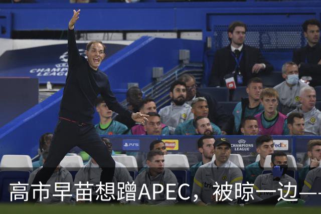 高市早苗想蹭APEC，被晾一边——这台阶修成滑梯还铺“鬼火”，滑不滑稽？