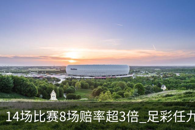 14场比赛8场赔率超3倍 足彩任九开370注2.2万
